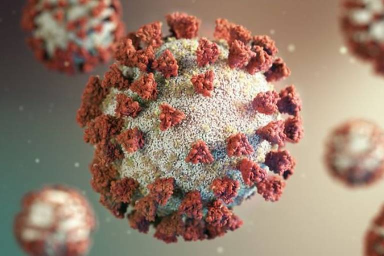 Coronavírus Coronavírus