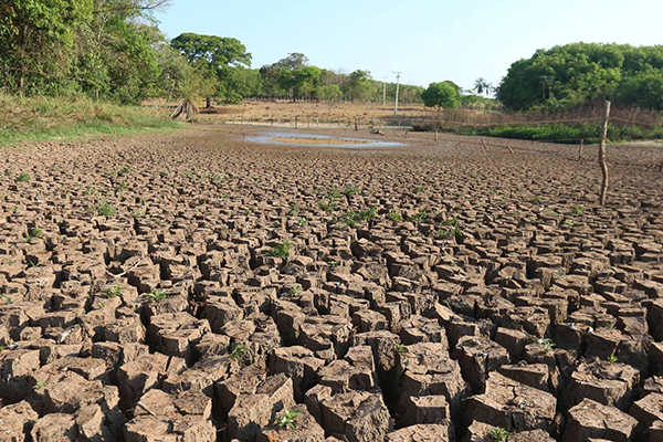 Além da seca, a falta de chuva torna a conta de luz mais cara e causa choque nos preços dos alimentos