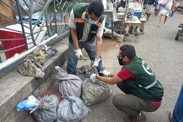 Fiscalização do Inema