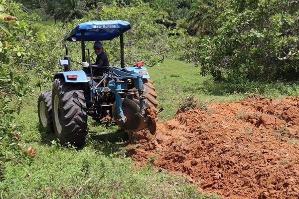 Projeto de mecanização agrícola em Cachoeira