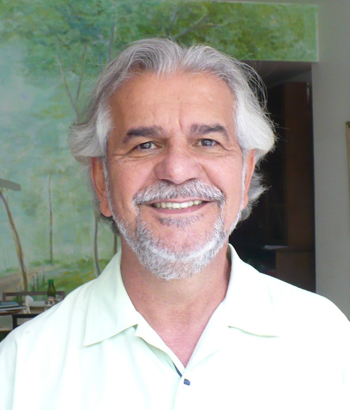 O escritor Luís Pimentel