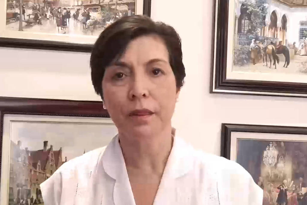 A ativista Adelaide Oliveira, do MBL, que deve ser candidata a deputada federal em SP A ativista Adelaide Oliveira, do MBL, que deve ser candidata a deputada federal em SP