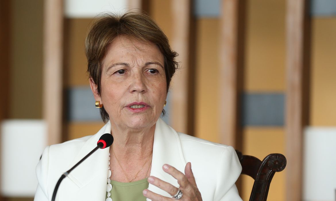 Projeção foi apresentada à ministra da Agricultura, Tereza Cristina