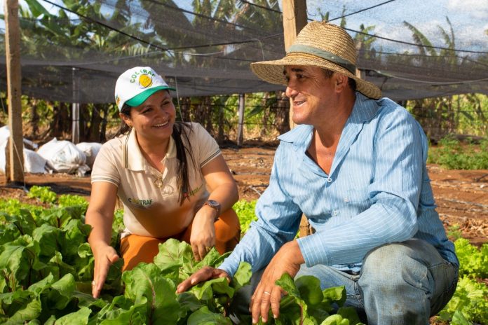 Projeto do governo do Estado, Bahia Produtiva Projeto do governo do Estado, Bahia Produtiva