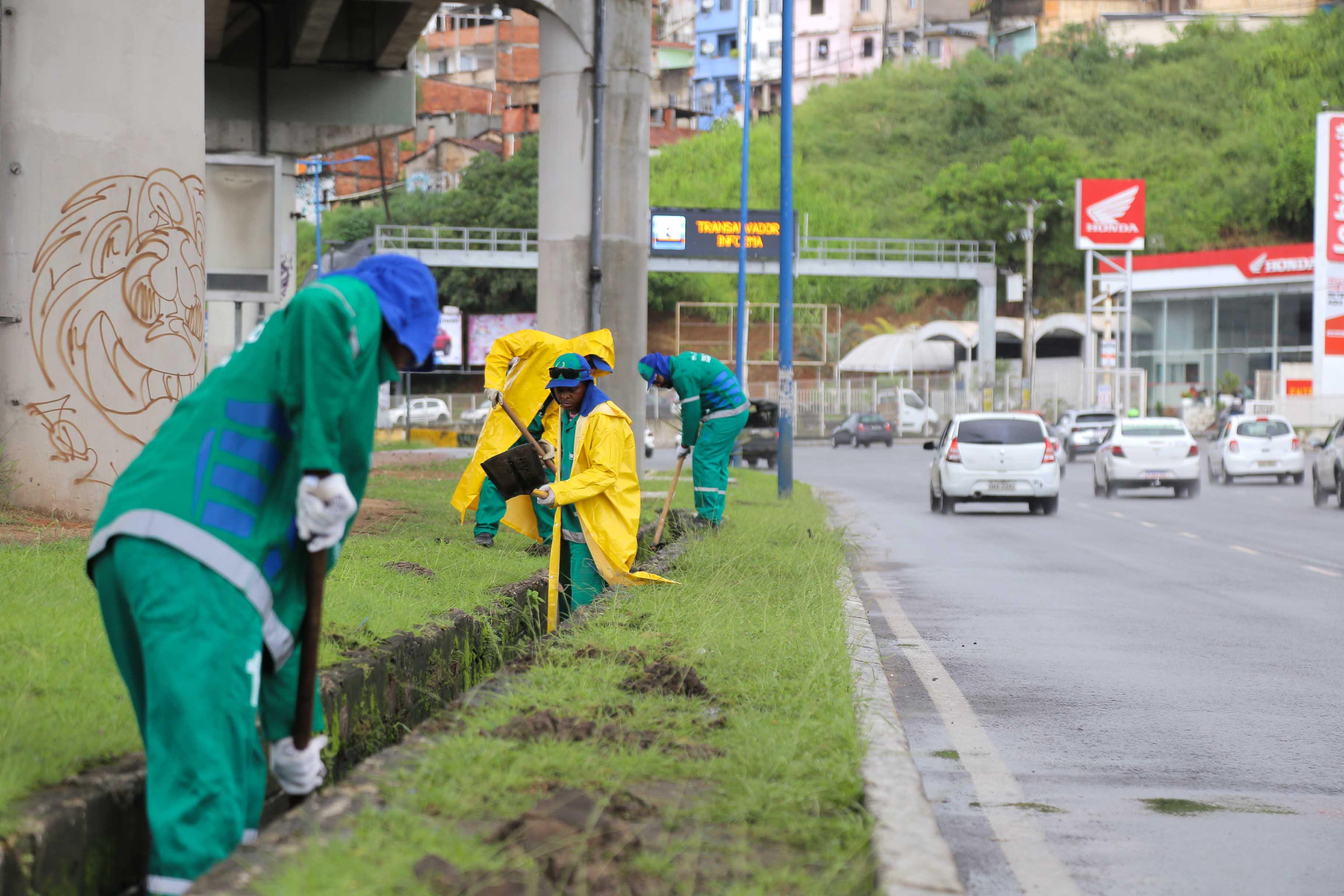 A operação conta com o suporte de 119 agentes de limpeza e 24 equipamentos A operação conta com o suporte de 119 agentes de limpeza e 24 equipamentos
