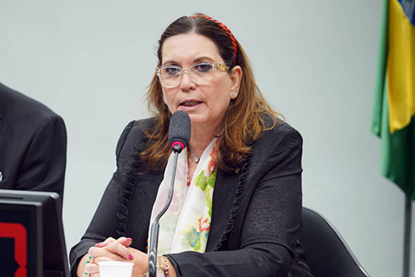 Bia Kicis diz querer combater deep fake e pressionar por vacina da dengue enquanto líder da minoria