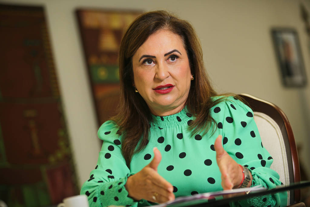 Ministros e parlamentares se encontraram em evento na casa de Kátia Abreu (PP-TO)