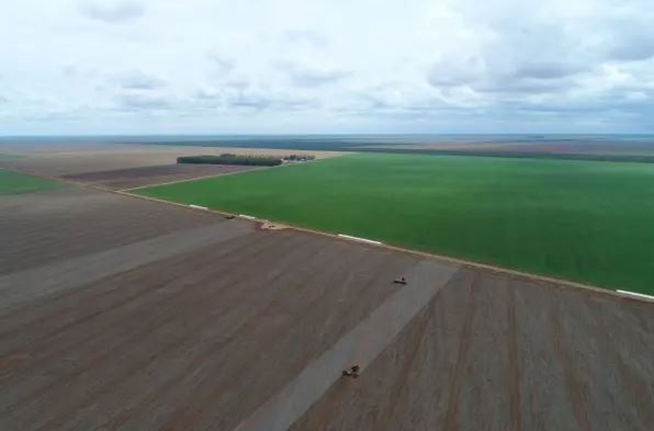 Região conhecida como Coaceral, em Formosa do Rio Preto, no Oeste da Bahia Região conhecida como Coaceral, em Formosa do Rio Preto, no Oeste da Bahia