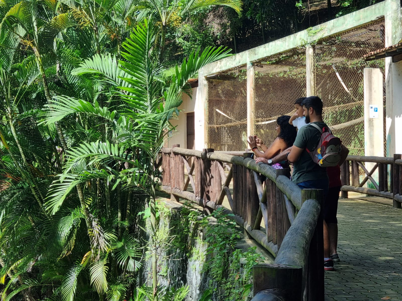 A diretora-geral do Inema, Daniella Fernandes, afirma que o esforço é contínuo para manter o ambiente do parque sempre bonito e proporcionando uma experiência incrível