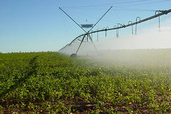 Com safra recorde, soja e biodiesel podem representar 6,4% do PIB nacional