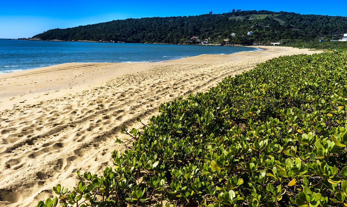 Programa é premiação internacional para praias, marinas e embarcações Programa é premiação internacional para praias, marinas e embarcações