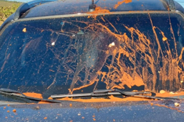 Carro de juiz do caso Milton Ribeiro foi atacado com fezes de animais, ovos e terra