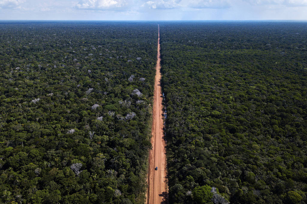 Vista aérea da floresta amazônica cortada por uma longa estrada de terra marromVista aérea da floresta amazônica cortada por uma longa estrada de terra marrom Trecho da BR-319, atualmente de terra, entre Igapó-Acú e Realidade, no Amazonas