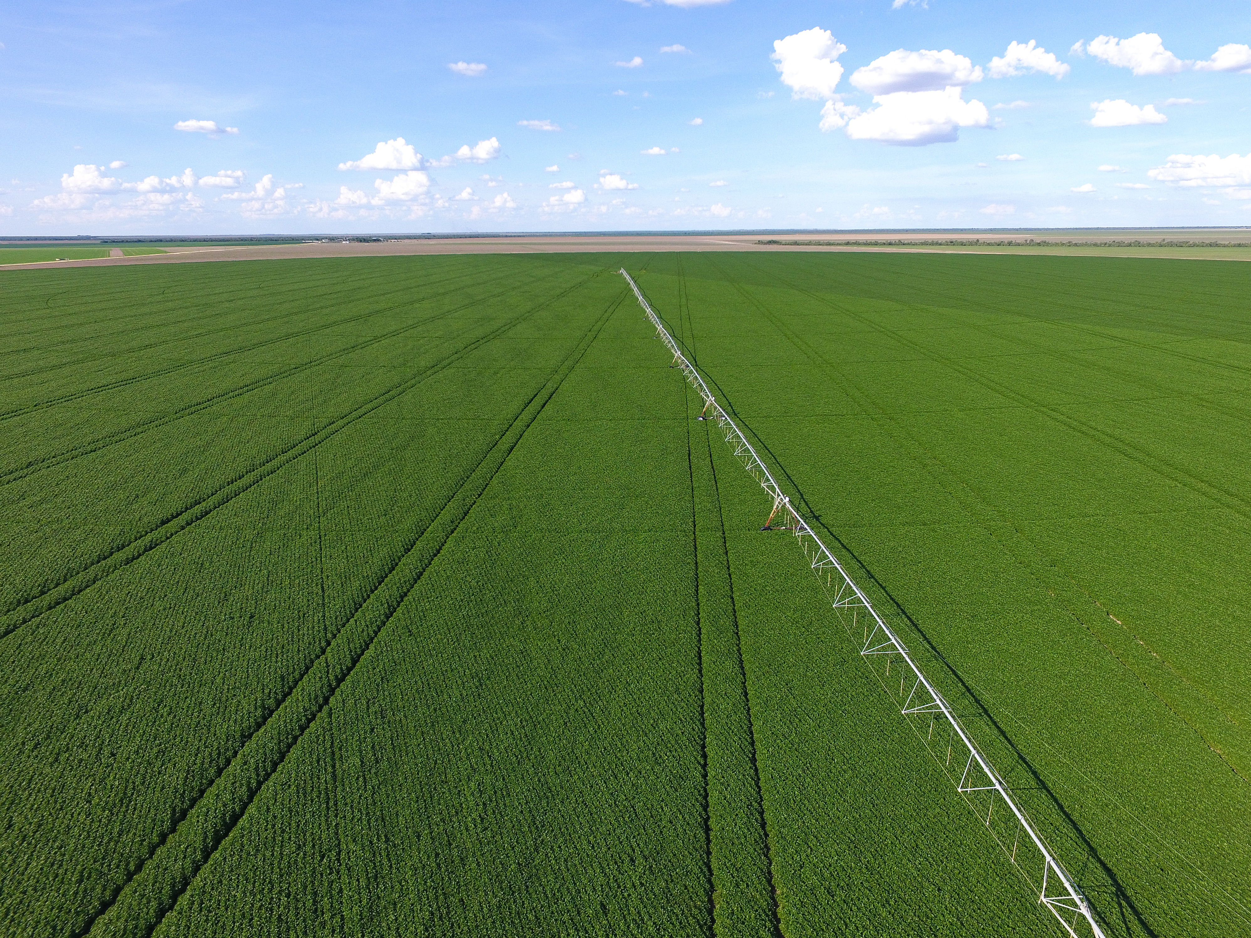 Plantação no Oeste da Bahia Plantação no Oeste da Bahia