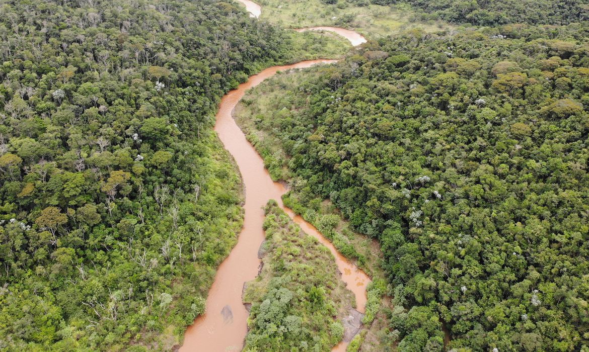 Estudo revela efetividade das ações de conservação ambiental