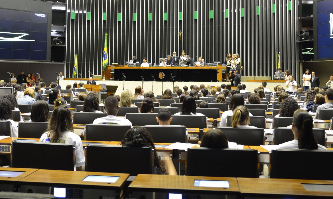 Os presidentes da Câmara, Arthur Lira (PP-AL), e do Senado, Rodrigo Pacheco (PSD-MG), devem se reunir para discutir os detalhes do rito