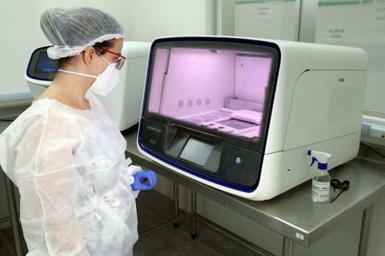 Foram sequenciadas ao todo 128 amostras coletadas em outubro e novembro e a BQ.1 representa 32% deste total