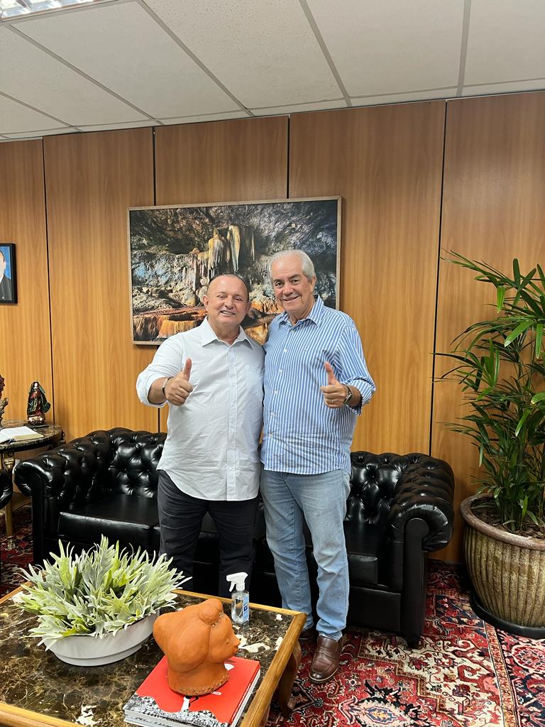 Deputados Adolfo Menezes e Eduardo Alencar, do PSD