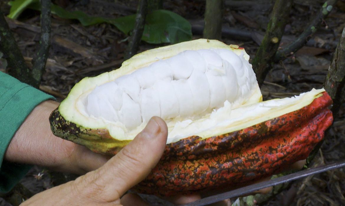Programa vai ao ar neste domingo na TV Brasil