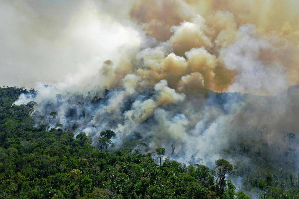 Foto aérea tirada em agosto de 2020 da Floresta Amazônica no estado do Pará Foto aérea tirada em agosto de 2020 da Floresta Amazônica no estado do Pará