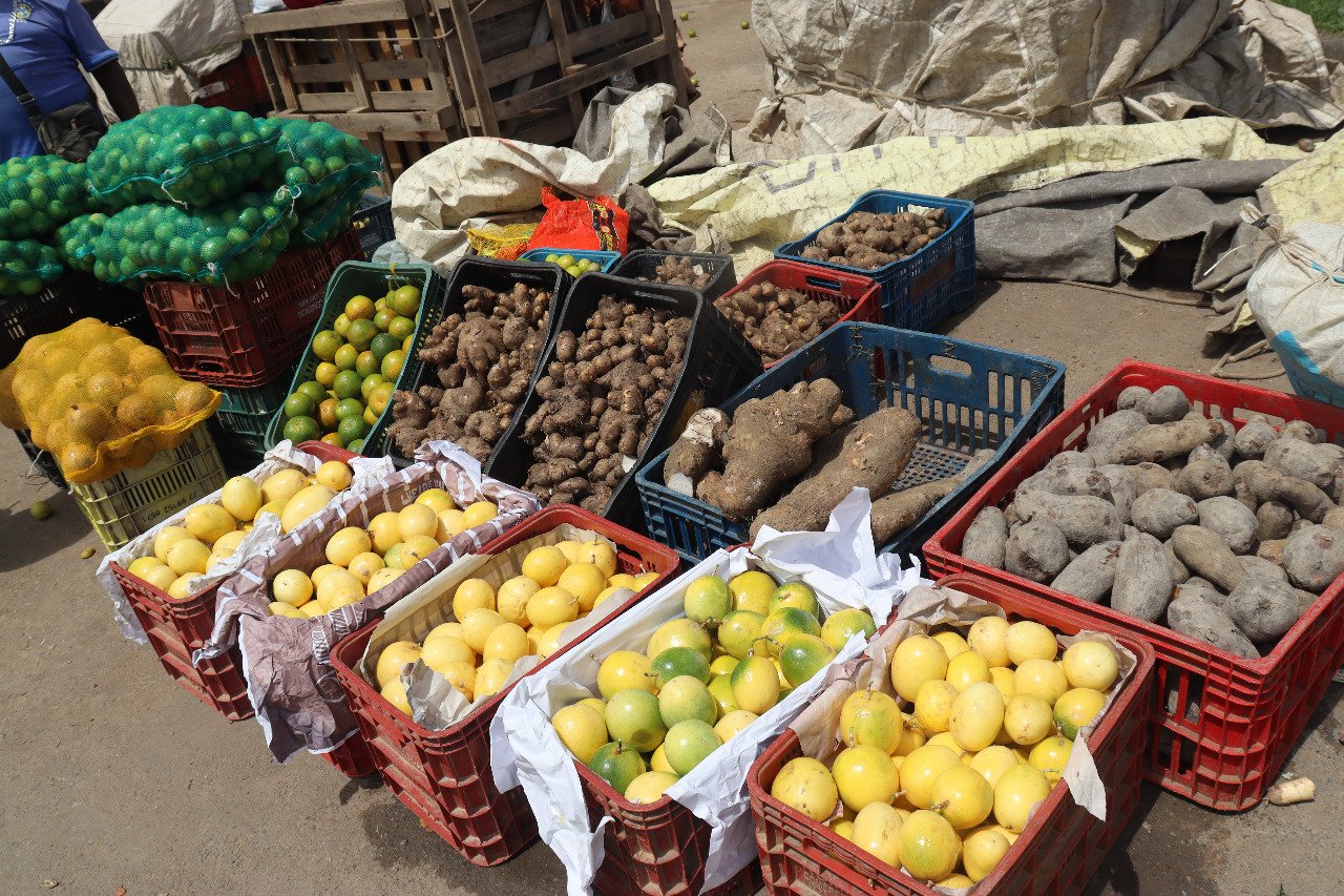 Ceasa e Mercados do Estado adotam horário de funcionamento especial no período de fim de ano