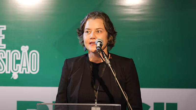 A subprocuradora-geral da Fazenda Nacional, Anelize Almeida