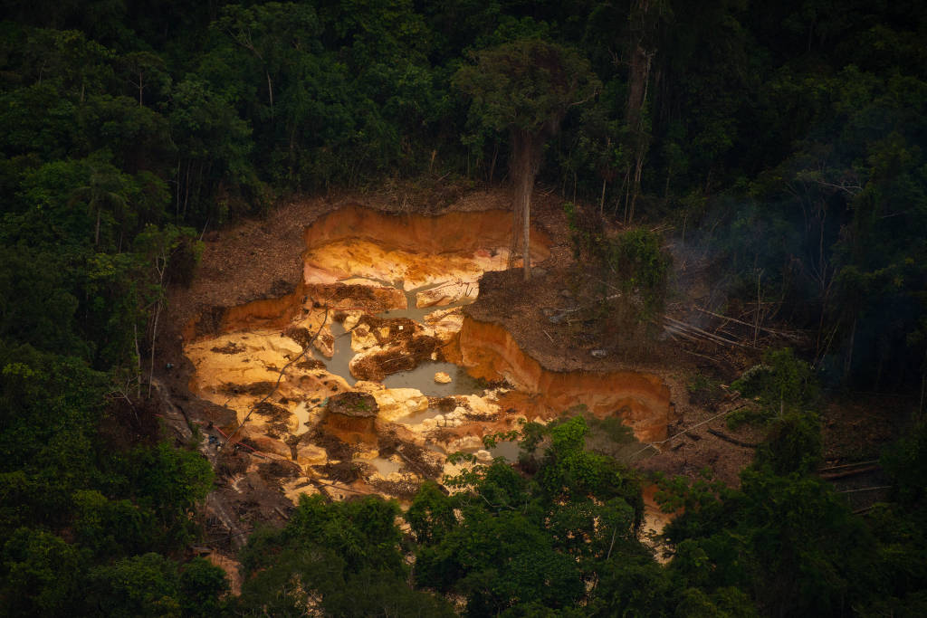 Dados do Deter indicam que devastação da floresta na área no ano passado foi movida pela mineração ilegal