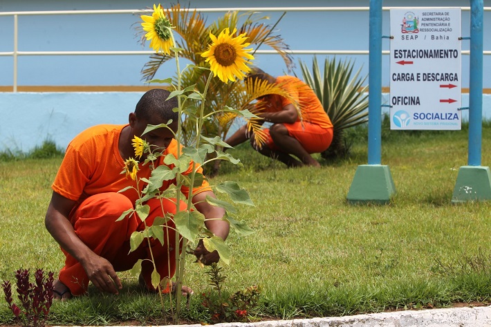 No âmbito do TCE-BA, o referido trabalho encontra-se autuado sob o número TCE/013206/2022