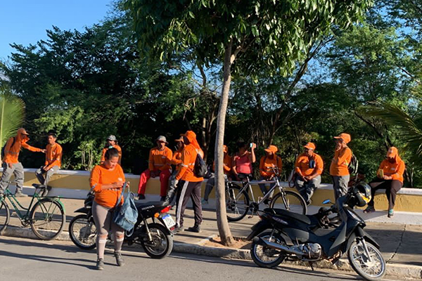 Garis e margaridas da cidade de Cipó