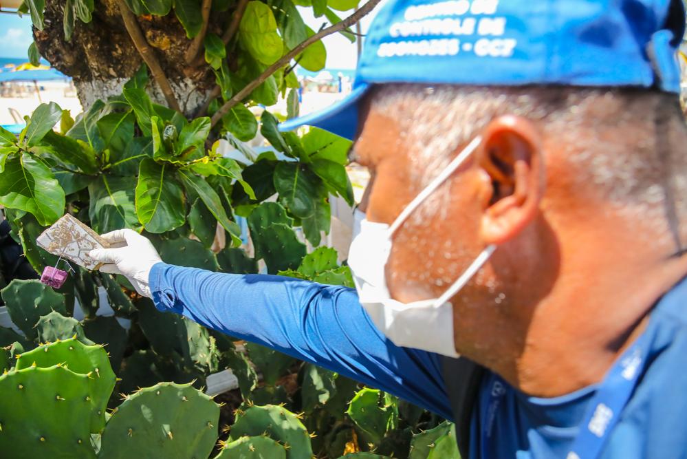 Os dados são resultado da atuação preventiva promovida pela SMS