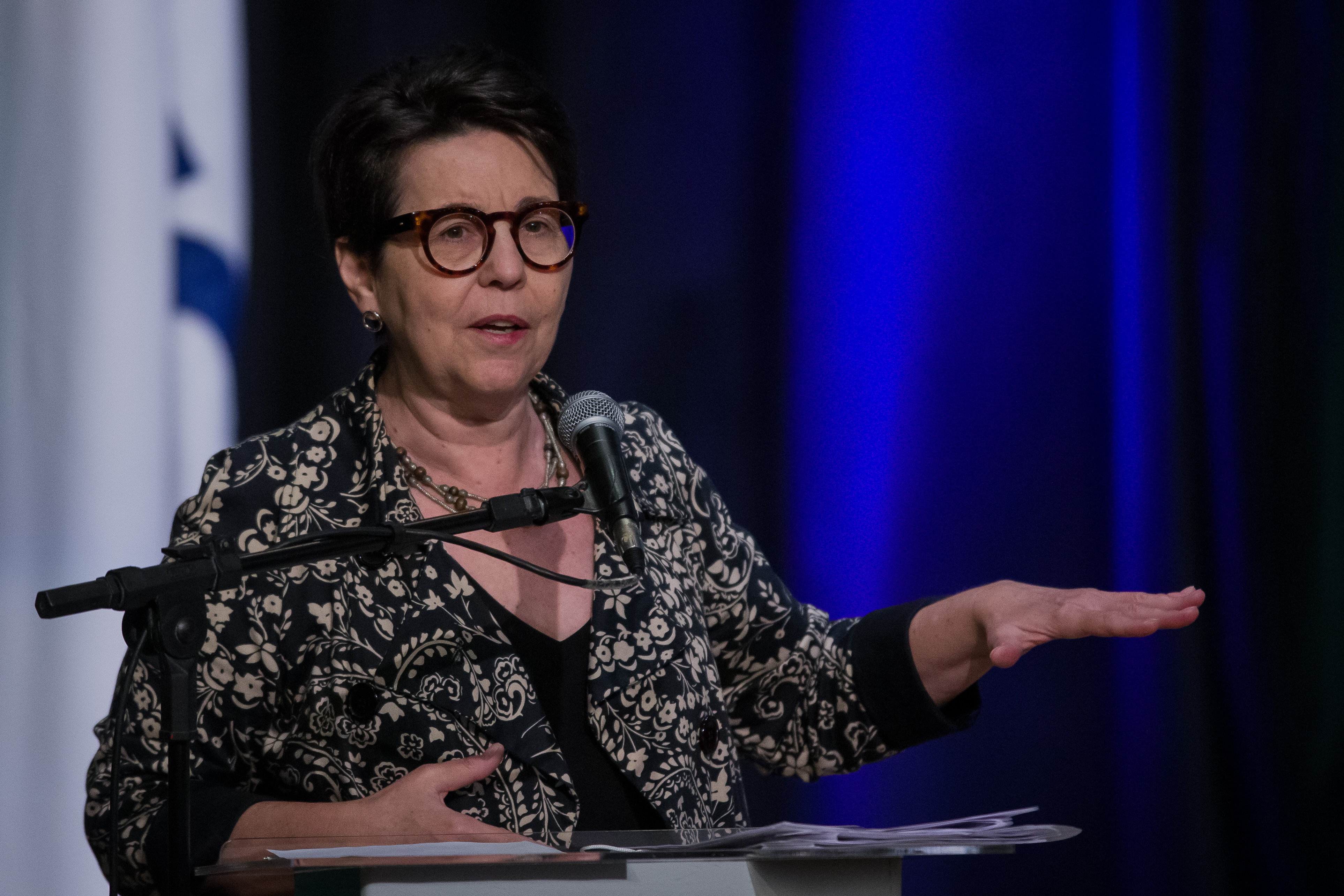 Tereza Campello participa de seminário no BNDES
