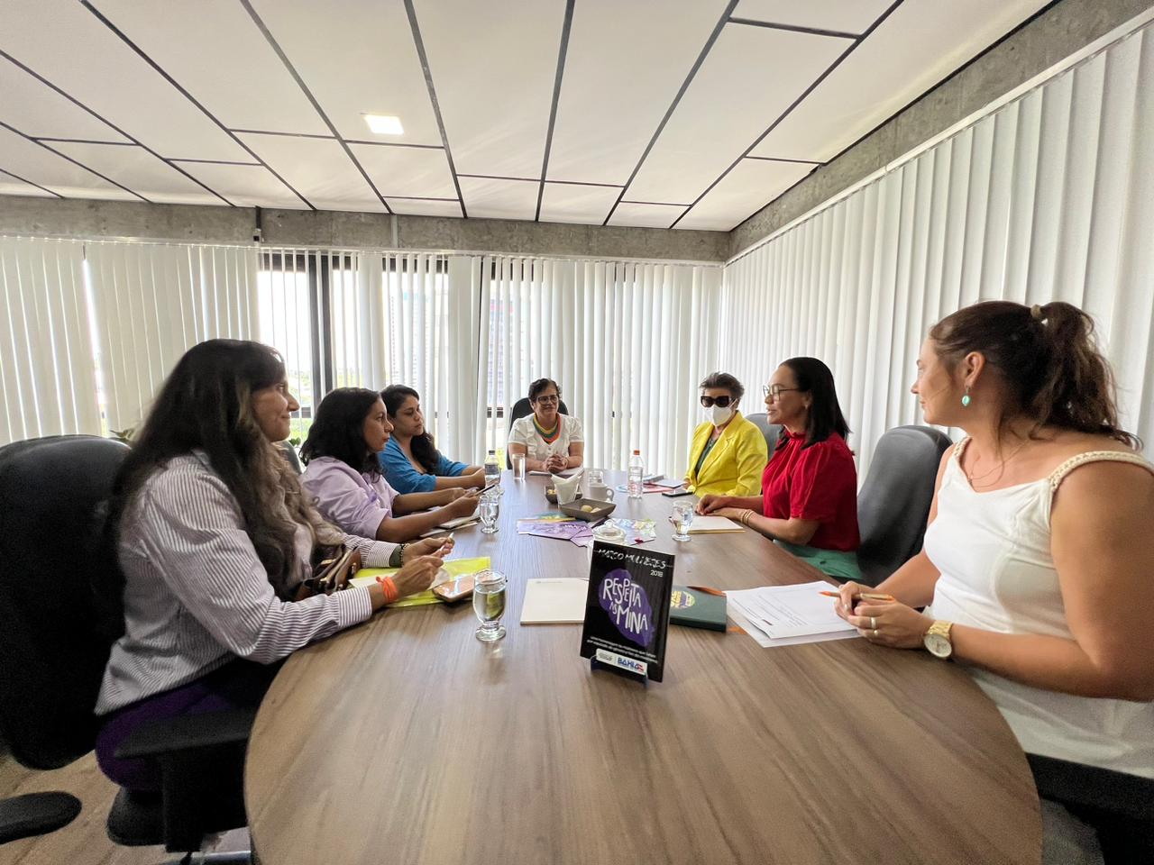 Imagem de Secretaria de Mulheres discute regulamentação da Lei Antibaixaria Imagem de Secretaria de Mulheres discute regulamentação da Lei Antibaixaria