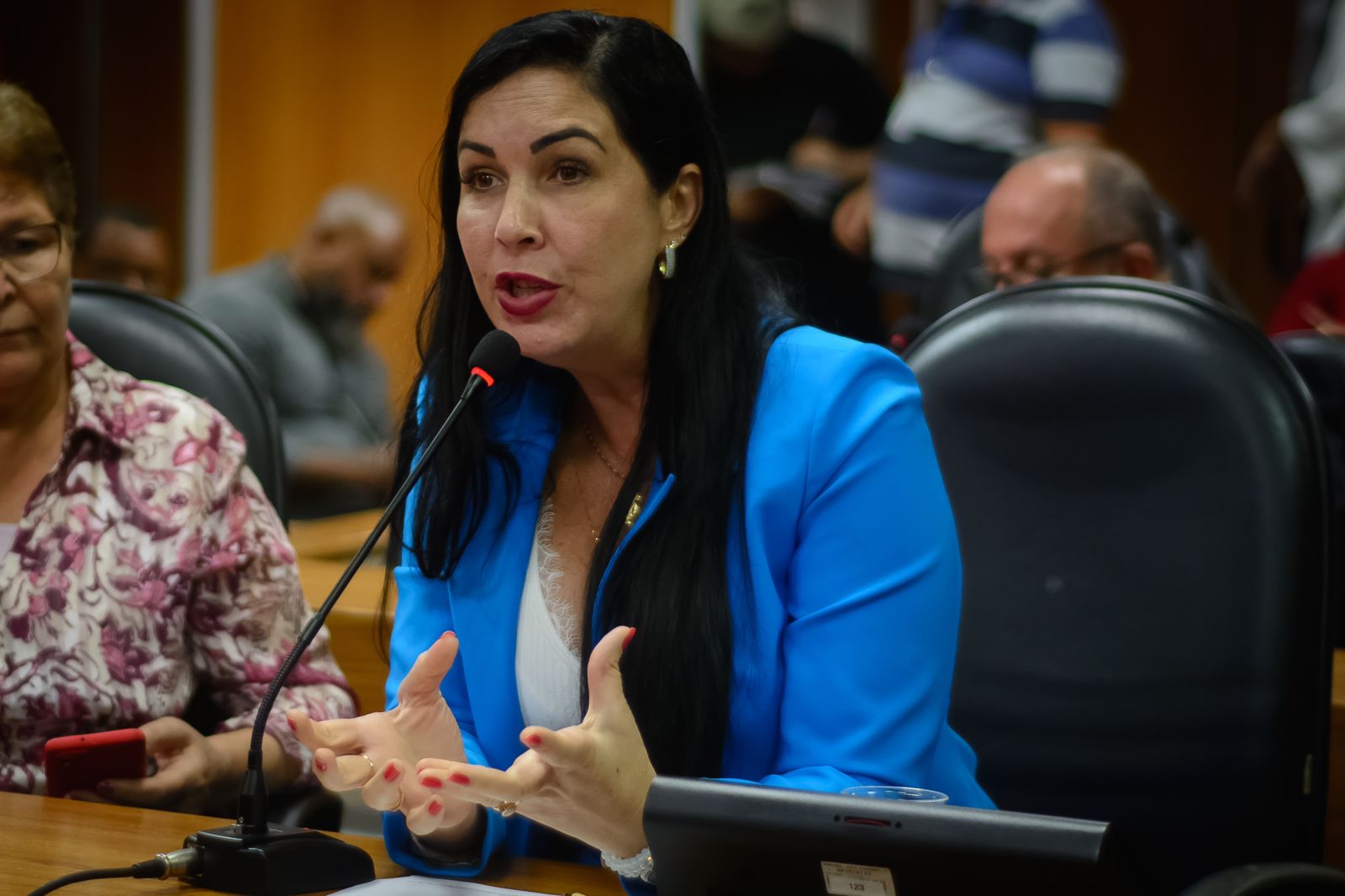 Deputada estadual Ludmilla Fiscina (PV) Deputada estadual Ludmilla Fiscina (PV)