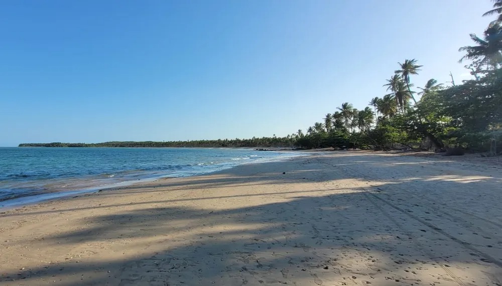 Requerimento foi enviado ao governo da Bahia, à Secretaria Estadual de Meio Ambiente e à Superintendência do Patrimônio da União