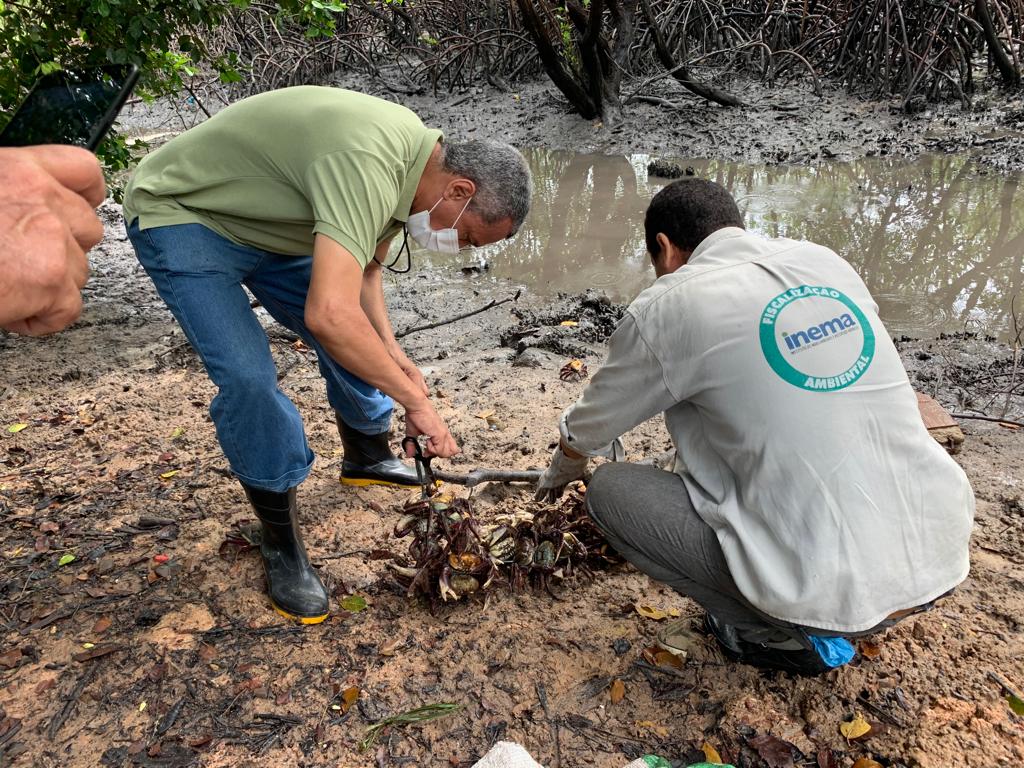 Foram mais de 35 municípios percorridos pelas equipes técnicas