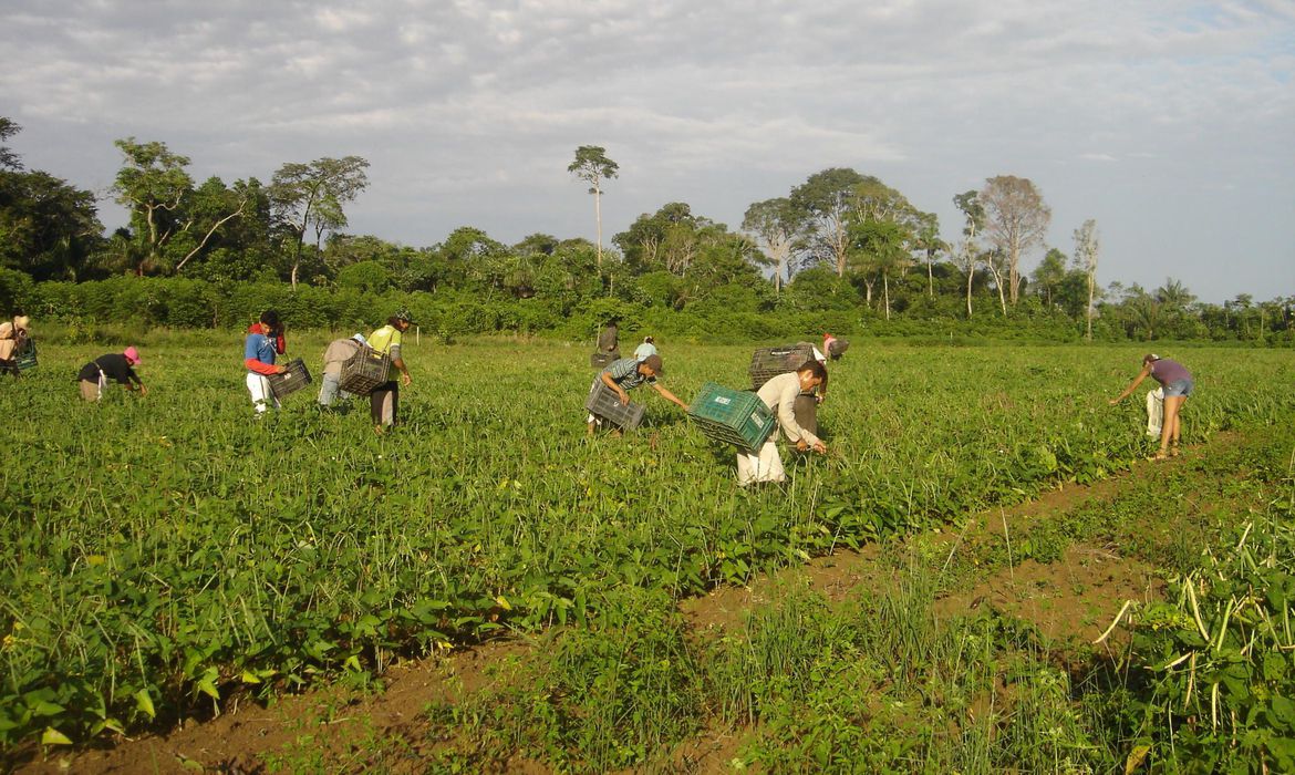 Programa de Aquisição de Alimentos será relançado por Lula hoje Programa de Aquisição de Alimentos será relançado por Lula hoje