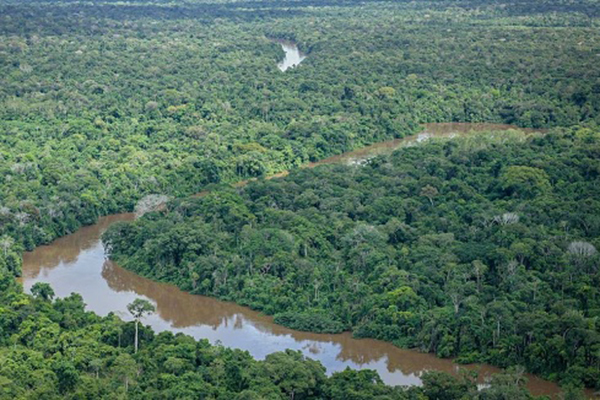 Floresta Amazônica Floresta Amazônica