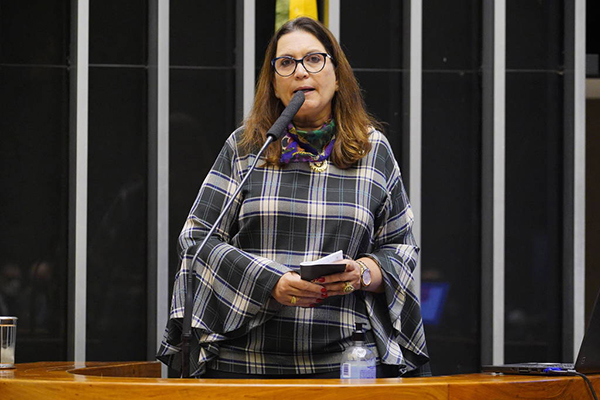 Deputada Bia Kicis (PL-DF) foi eleita presidente da Comissão de Fiscalização Financeira e Controle