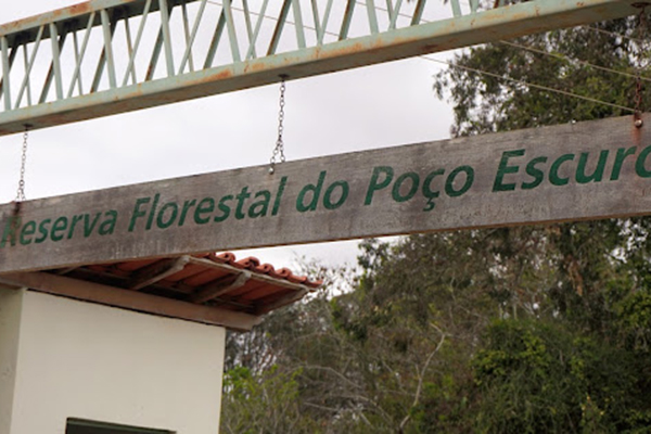 Reserva Florestal do Poço Escuro, em Vitória da Conquista Reserva Florestal do Poço Escuro, em Vitória da Conquista