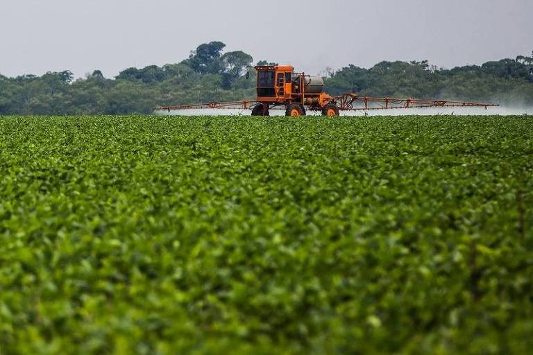 Os dez municípios com os maiores valores de produção agrícola do Brasil ficam localizados em três estados: Mato Grosso, Bahia e Goiás Os dez municípios com os maiores valores de produção agrícola do Brasil ficam localizados em três estados: Mato Grosso, Bahia e Goiás