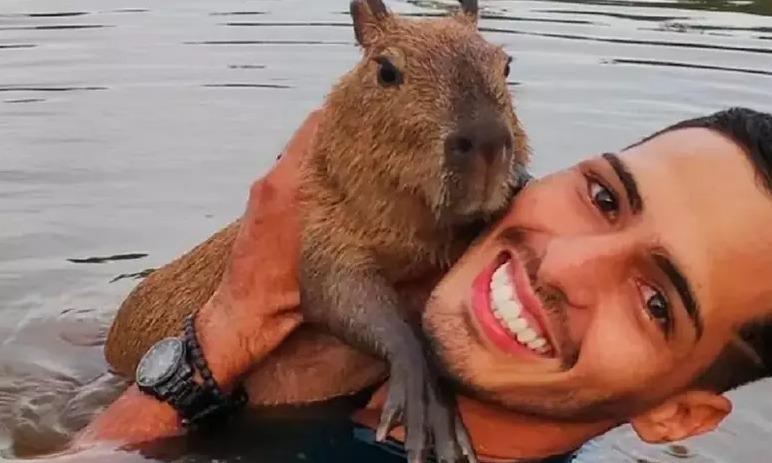 Influenciador consegue guarda provisória da Capivara Filó