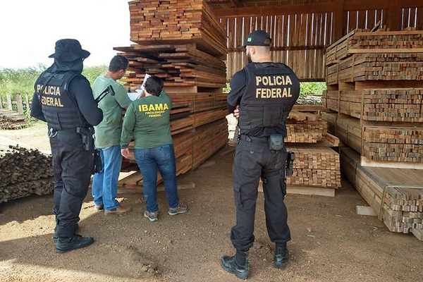 Agentes da Polícia Federal, do Ibama e da Funai começam operação para expulsar madeireiros da TI Karipuna (RO)
