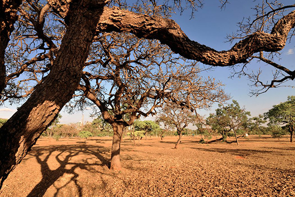 Aquecimento na região central do país tem sido cerca de 1°C acima da média global Aquecimento na região central do país tem sido cerca de 1°C acima da média global
