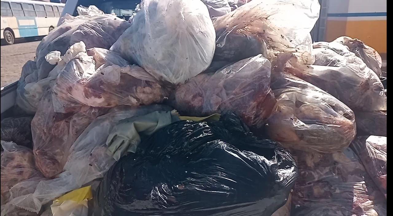 Ação ocorreu na última quarta-feira (12) 