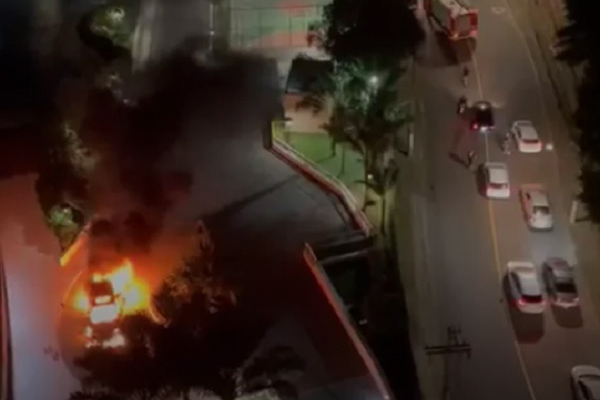 Incêndio é registrado no Horto Florestal, em Salvador Incêndio é registrado no Horto Florestal, em Salvador