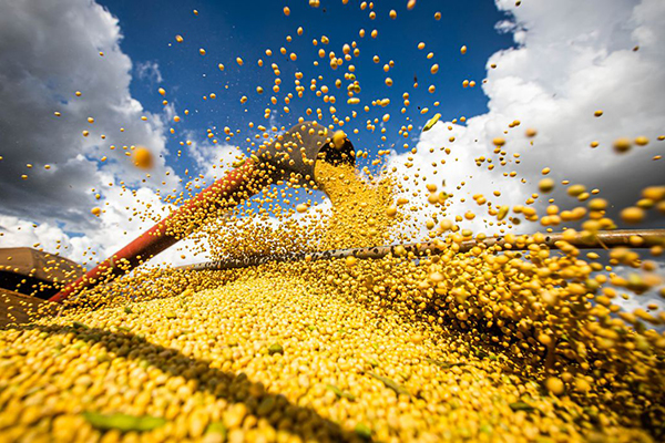 Isenção de Imposto de Renda para elite rural triplica em cinco anos