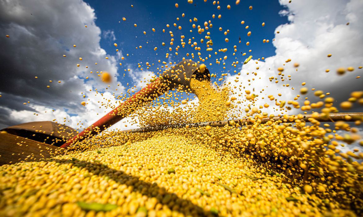 Produção agrícola chegou a 263,8 milhões de toneladas