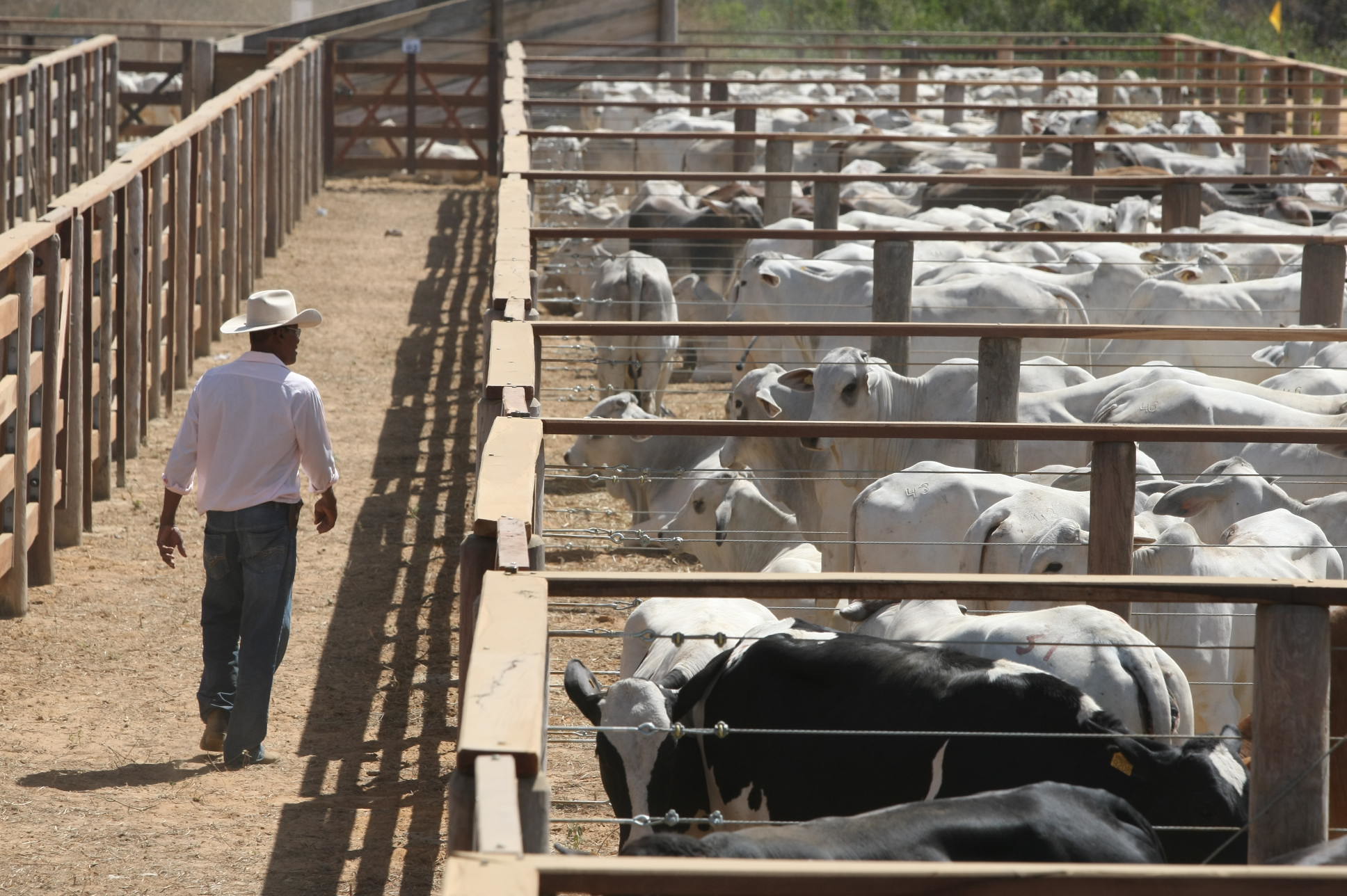 Feira de agronegócio em Mansidão (BA)