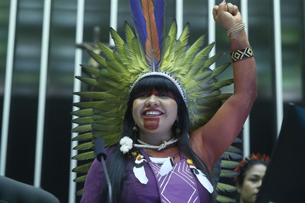 Iniciativa é da deputada federal Célia Xakriabá (PSOL-MG)