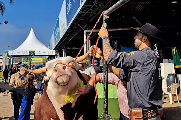 Expointer acontece no Parque de Exposições Assis Brasil, em Esteio (RS)